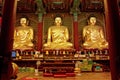 Golden Buddha in Jogyesa temple (Seoul) Royalty Free Stock Photo