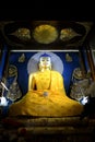 Golden Buddha At Mahabodhi Temple