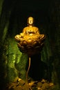 Golden Buddha meditation statue on a lotus floating above the flower in a water in glitter emerald cave religious synonym about Royalty Free Stock Photo