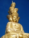 The golden buddha of mt emei