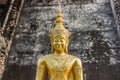 Golden Buddha Portrait, Wat Chedi Luang, Thailand