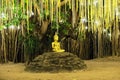 A golden Buddha sculpture underneath a tree and golden garlands Royalty Free Stock Photo