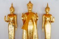 Golden Buddha statue