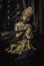 Black Gold Buddha Still Life Royalty Free Stock Photo