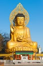 Golden Buddha statue at buddhist temple of Sanbanggulsa