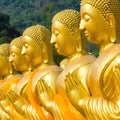 Golden Buddha statue