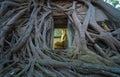 Golden Buddha statue with old brick wall and old tree roots through window in Wat Bang Kung in Samut Songkhram district, Thailand