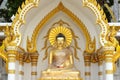 Golden buddha statue in plastic wrapped Royalty Free Stock Photo