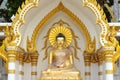 Golden buddha statue in plastic wrapped