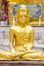 Golden Buddha statue Shan style