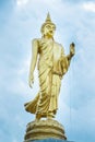 Golden Buddha statue standing In the park.Thailand