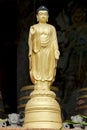 Golden Buddha statue in standing posture. Royalty Free Stock Photo