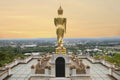 Golden Buddha statue standing at Wat Phra That Khao Noi, Nan Province, Thailand Royalty Free Stock Photo