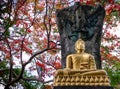 Golden Buddha statue among tamarind blossoms