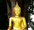 A Golden Buddha Statue In temple Royalty Free Stock Photo