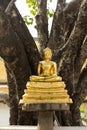Golden Buddha statue in Temple Royalty Free Stock Photo
