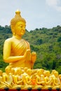 Golden buddha statue