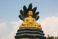 Golden Buddha Statue thailand