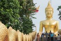 Golden buddha statue, Thailand Royalty Free Stock Photo