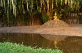 Golden Buddha statue under a Peepal Bodhi tree