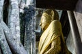 Golden Buddha statue in Wat Bang Kung, Ampawa, Thailand