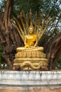 Buddha statue at Wat Visounnarath in Luang Prabang Royalty Free Stock Photo