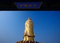 Golden Buddha statues back Royalty Free Stock Photo