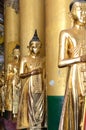 Golden Buddha Statues in the Temple