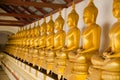 Golden buddha statues