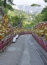 Golden Buddha statues at Ten Thousand Buddhas Monastery, Hong Kong