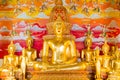 Golden Buddha statues , Wat Puak pia , Temple in Chiang Mai Thai Royalty Free Stock Photo