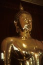 Golden Buddha, in temple