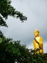 Golden buddha trees forest sky