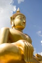 The golden buddha in Wat Sragate