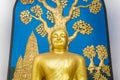 Golden Buddha at the World Peace Pagoda in Pokhara Royalty Free Stock Photo