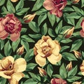 Golden burgundy rose pattern seamless black background Royalty Free Stock Photo