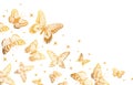 Golden butterflies backdrop. Cartoon gorgeous butterfly pattern, gold butterfly flock, gorgeous exotic moths flat vector