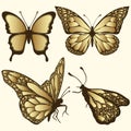 Golden Butterfly set. Luxury design, expensive jewelry, brooch. Exotic patterned Insect, tattoo, decorative element. Vector