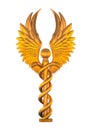 Golden Caduceus Royalty Free Stock Photo