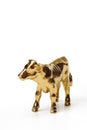 Golden calf, close-up Royalty Free Stock Photo