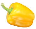 Golden California wonder bell pepper, top