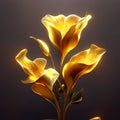 Golden calla lily flower on dark background. 3d rendering AI Generated Royalty Free Stock Photo