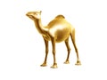 Golden camel Royalty Free Stock Photo