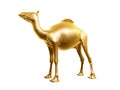 Golden camel Royalty Free Stock Photo