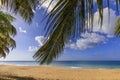 Golden Caribbean beach and turquoise blue sea seen through palm tree fronds