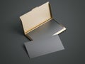 Golden case with black blank business cards. 3d rendering Royalty Free Stock Photo