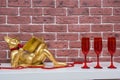 Golden cat reading a book lies on a white surface with red beads and red glasses for wine, living room interior Royalty Free Stock Photo