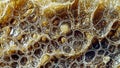 Golden Cellular Web, generative ai