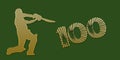 Golden Century Cricket Banner on Green