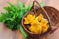 golden chanterelle mushrooms in a basket and fresh parsley ingredients to cook a meal Royalty Free Stock Photo